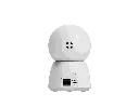 大白-后.webp