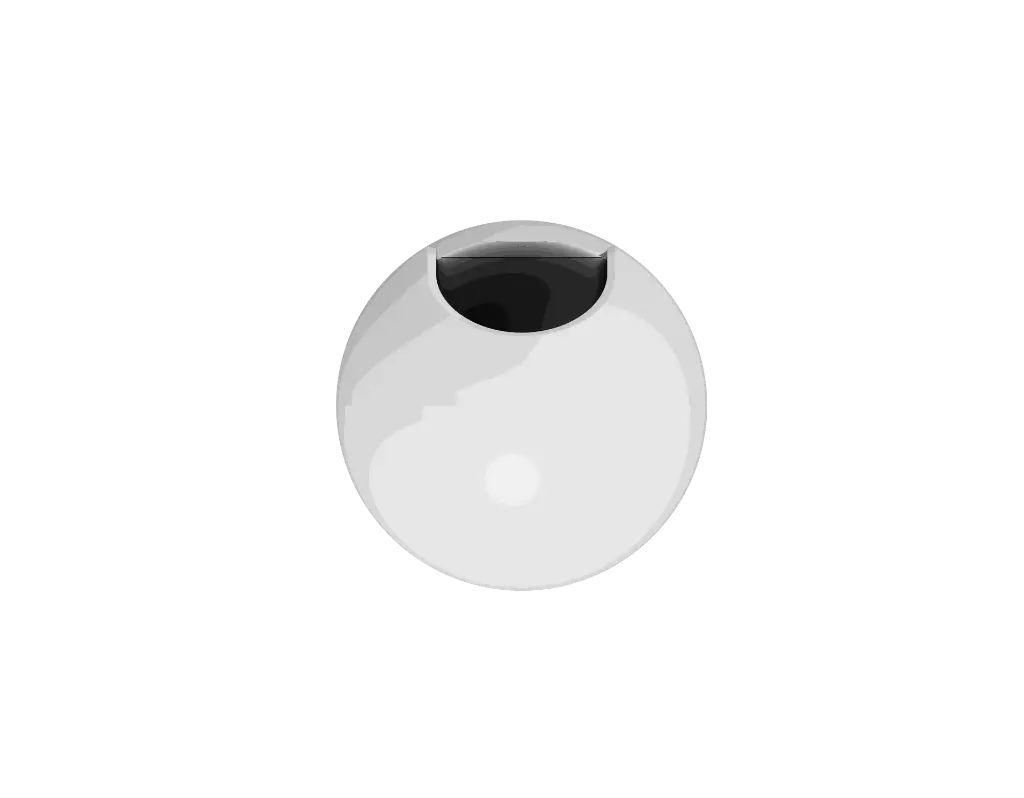 大白-顶.webp