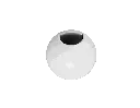 大白-顶.webp