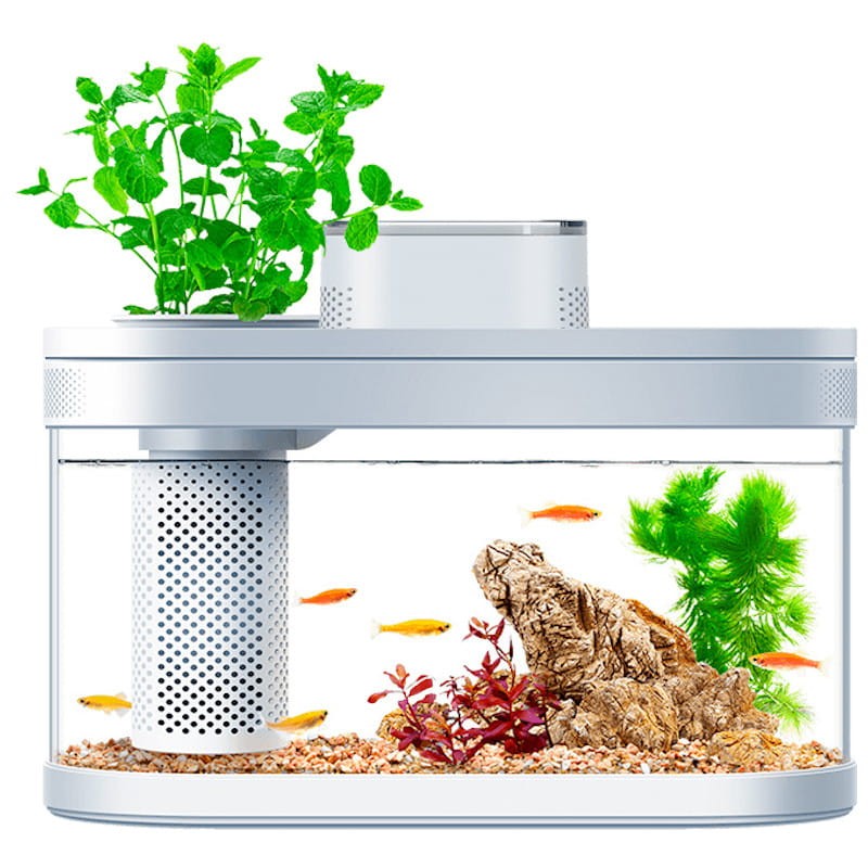 DESGEO Fish Tank With Wifi Box & Automatic Feeder