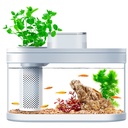 DESGEO Fish Tank With Wifi Box & Automatic Feeder