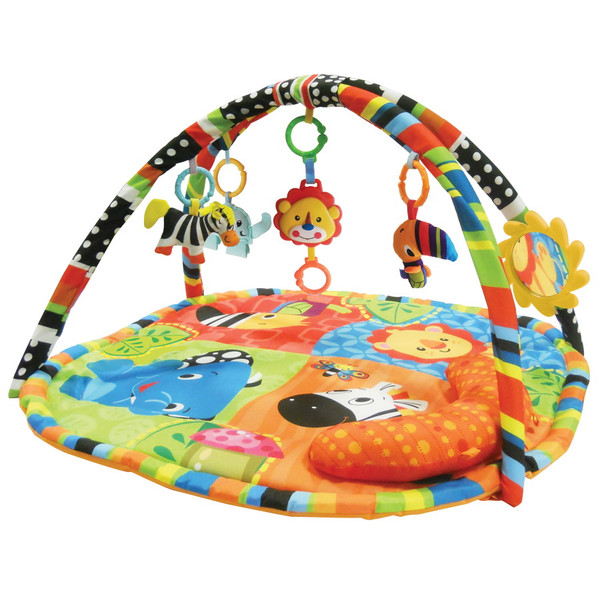Baby Play Mat and Gym