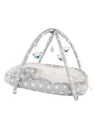Baby Play Mat and Gym